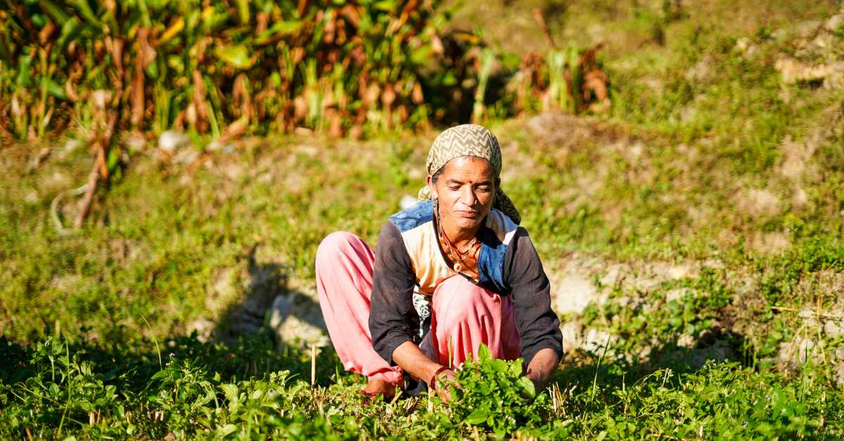 इस महिला किसान को कृषि व पशुपालन में प्रगति के लिए मिला पुरुस्कार 