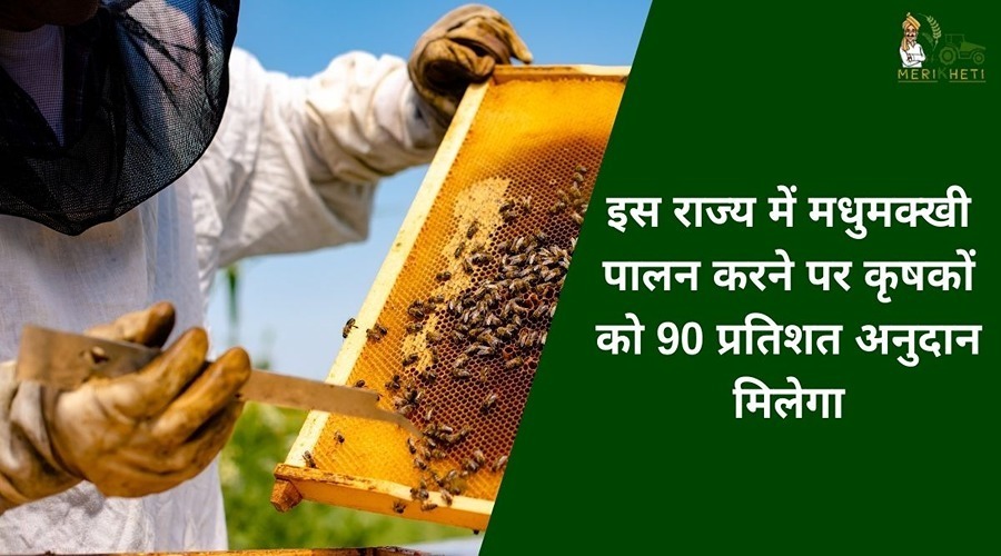 इस राज्य में मधुमक्खी पालन करने पर कृषकों को 90 प्रतिशत अनुदान मिलेगा