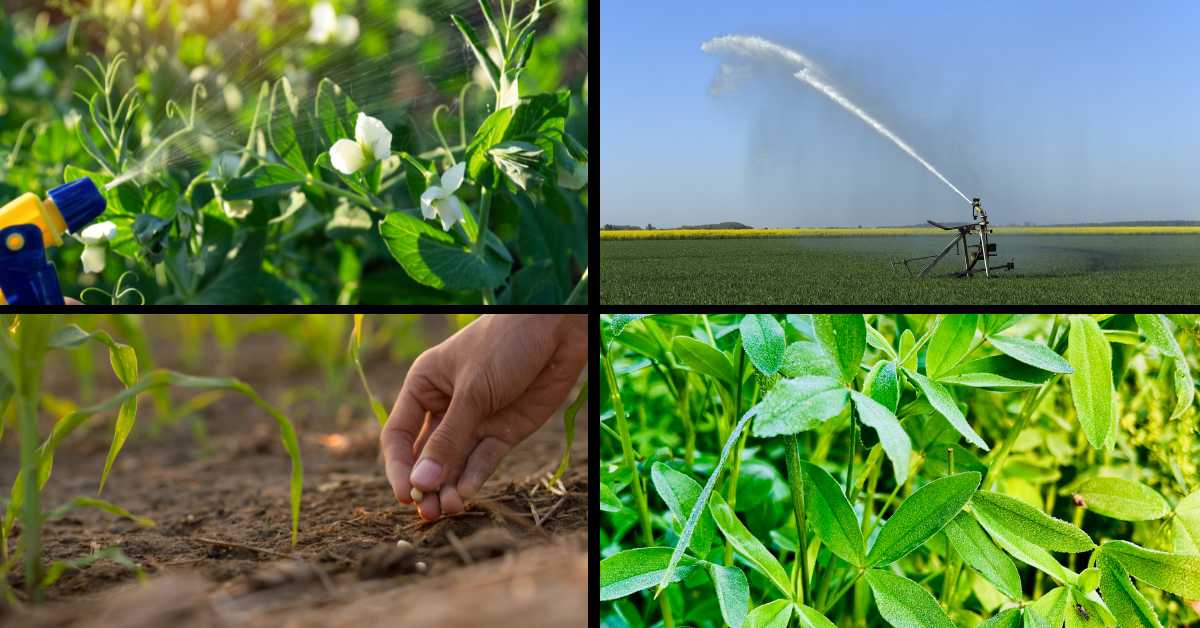 Important agricultural-related works of the month of March