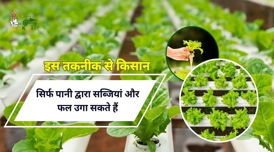 Farmers can grow vegetables and fruits using only water with this technology.