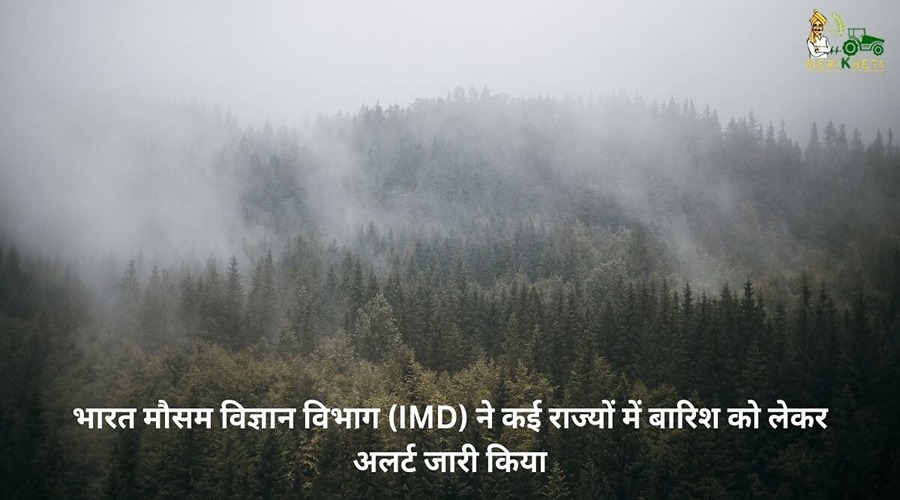 Indian Meteorological Department (IMD) issued an alert regarding rain in many states