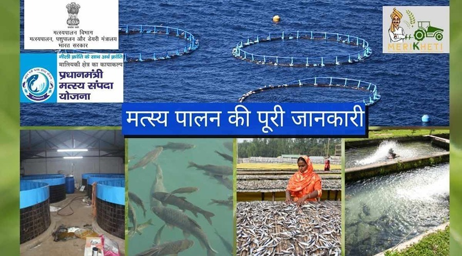 मत्स्य पालन की पूरी जानकारी (Fish Farming information in Hindi)