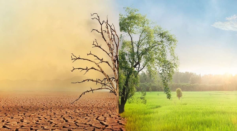 जलवायु परिवर्तन कृषि क्षेत्र को किस प्रकार से प्रभावित करता है