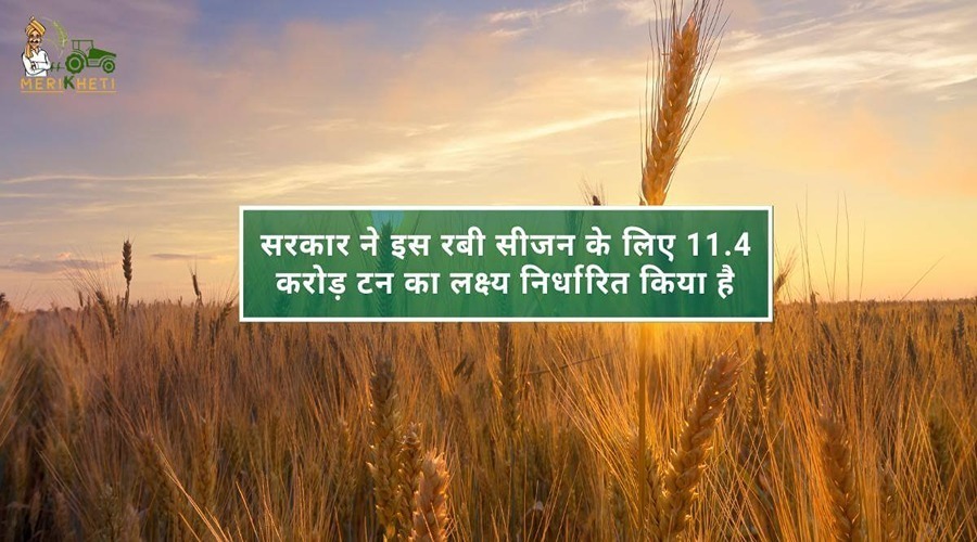  The government has set a target of 11.4 crore tonnes for this Rabi season.