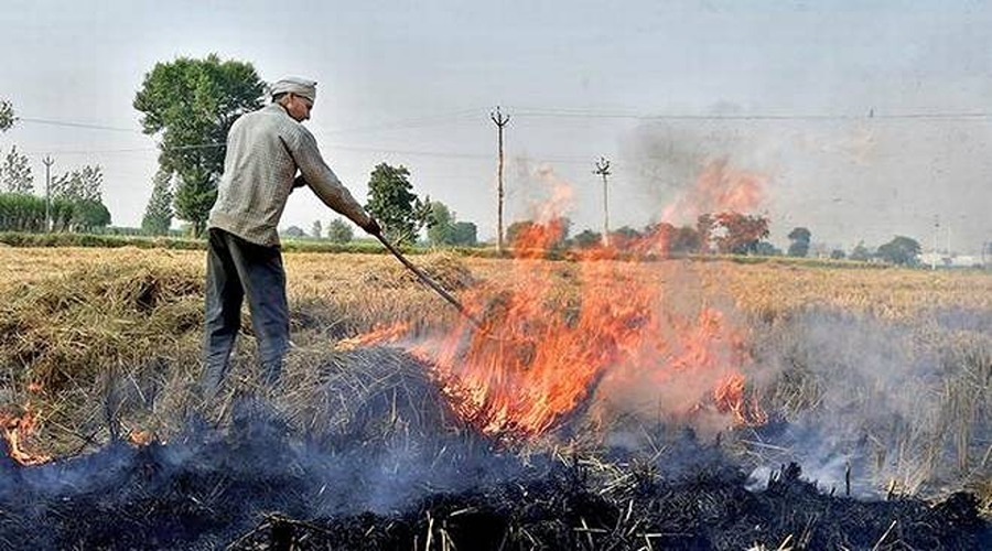 फसलों के अवशेषों के दाम देगी योगी सरकार