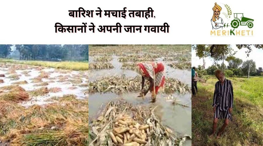 बारिश ने मचाई तबाही, किसानों ने अपनी जान गंवाई
