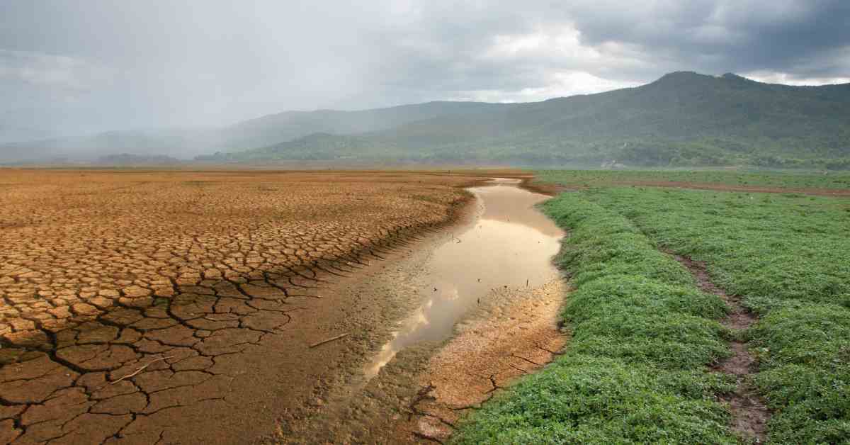 Climate Change: आधुनिक समय में बढ़ता तापमान खेती के लिए बड़ा संकट
