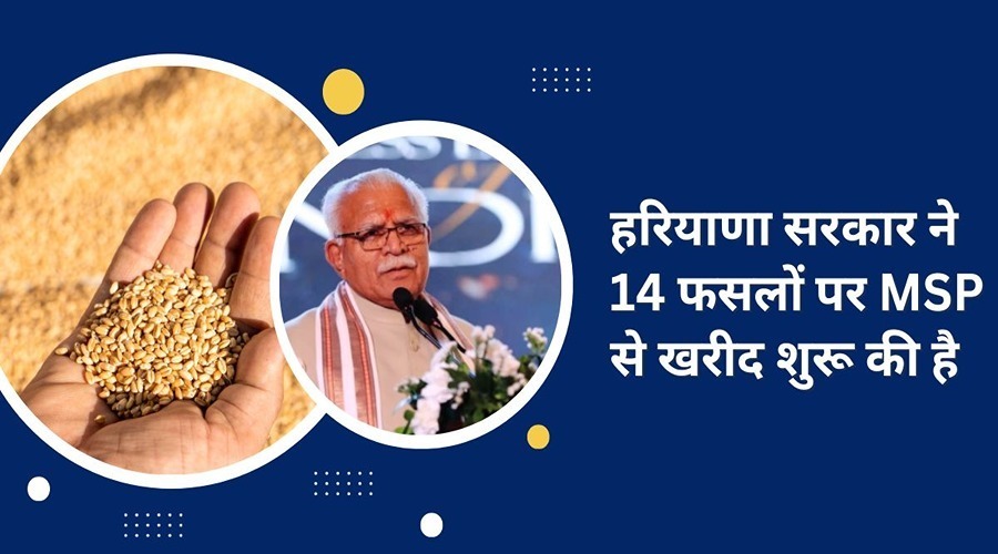 Haryana government has started purchasing 14 crops at MSP 