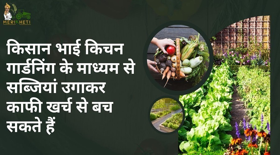  A farmer can save a lot of expenses by growing vegetables through kitchen gardening.