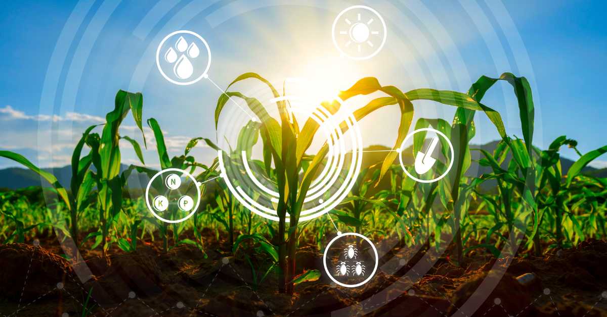 What benefits will the farmer get by using AI in the agriculture sector?