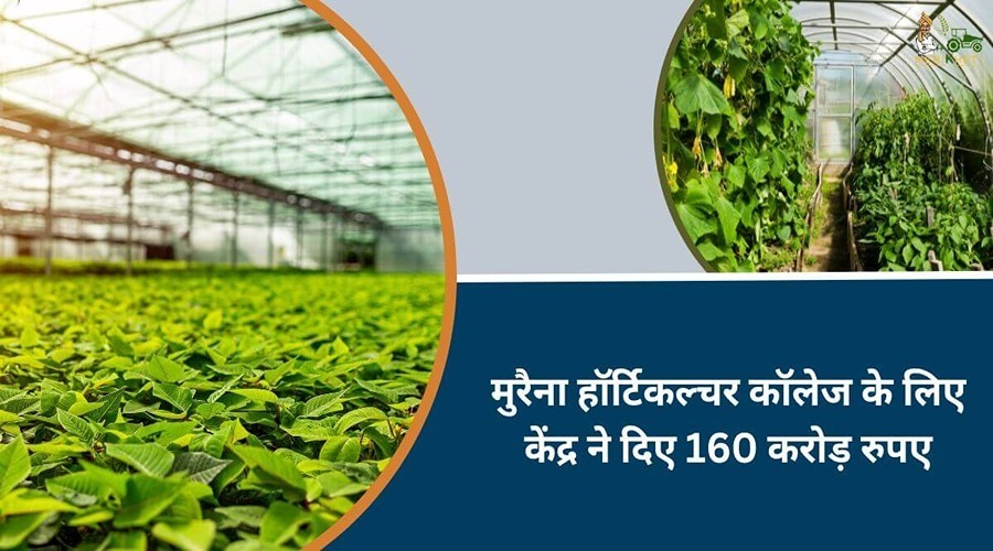 Central government gave Rs 160 crore for the establishment of the first horticulture college in Morena district.