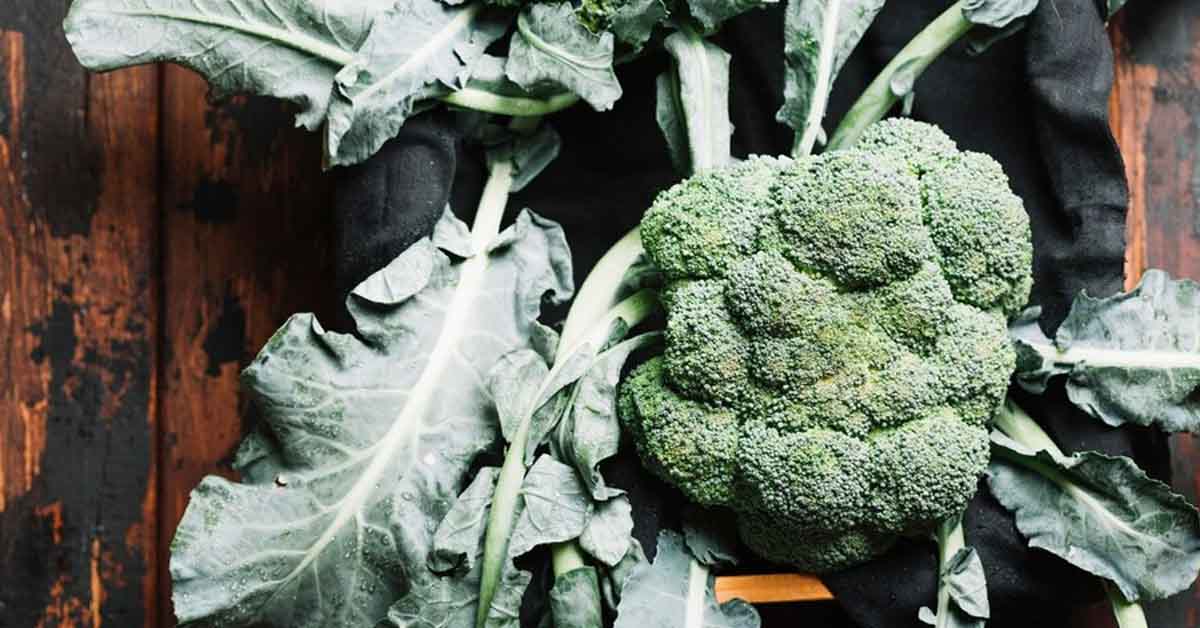 Cultivation of Broccoli : ब्रोकली की खेती के तरीकों के बारे में सम्पूर्ण जानकारी 