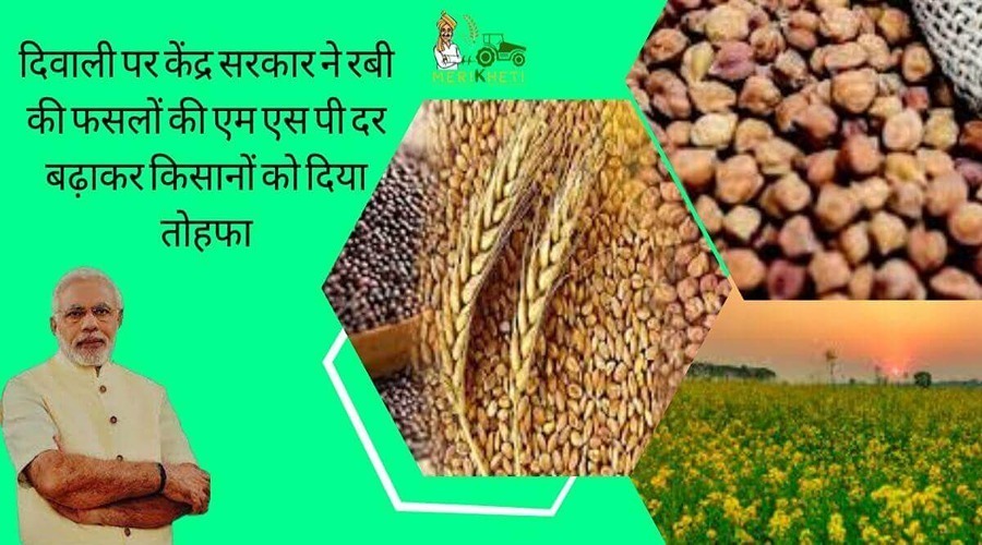 दिवाली पर केंद्र सरकार ने रबी की फसलों की एम एस पी दर बढ़ाकर किसानों को दिया तोहफा