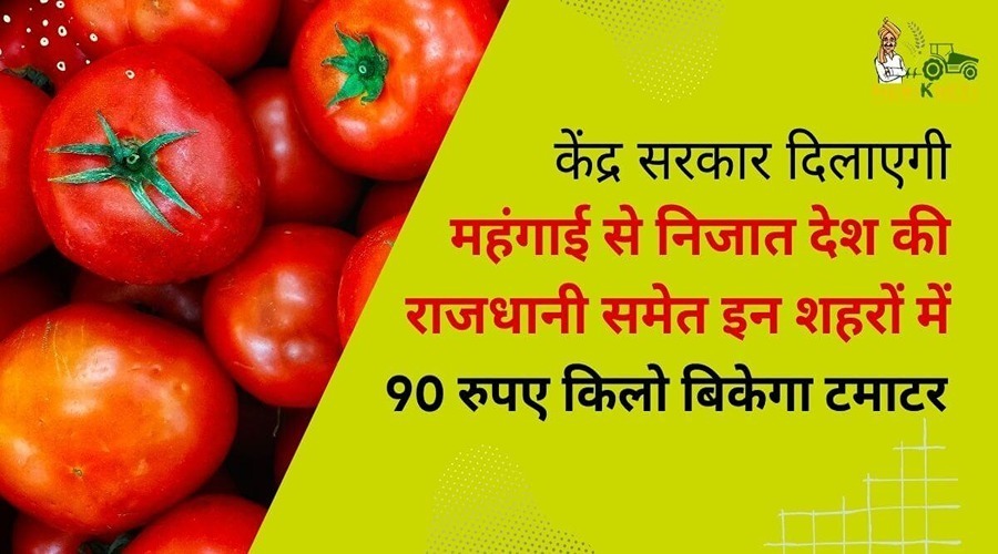 केंद्र सरकार दिलाएगी महंगाई से निजात देश की राजधानी समेत इन शहरों में 90 रुपए किलो बिकेगा टमाटर