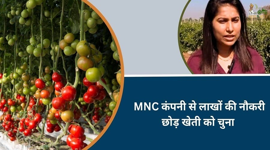  Female farmer Smarika  Chandrakar quit MNC company paying lakhs and chose farming 