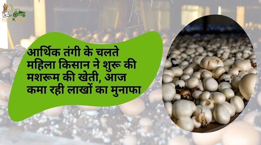 Due to financial constraints, a woman farmer started mushroom cultivation, today she is earning profits worth lakhs.
