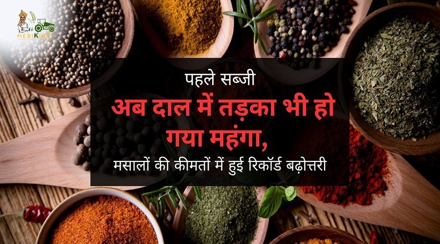 Spices or Masala price hike: पहले सब्जी अब दाल में तड़का भी हो गया महंगा, मसालों की कीमतों में हुई रिकॉर्ड बढ़ोत्तरी