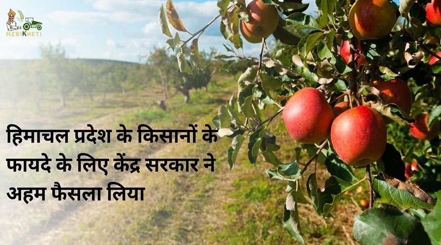 The Central Government took an important decision for the benefit of the farmers of Himachal Pradesh.