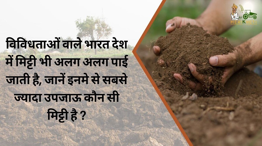 विविधताओं वाले भारत देश में मिट्टी भी अलग अलग पाई जाती है, जानें इनमे से सबसे ज्यादा उपजाऊ कौन सी मिट्टी है ?