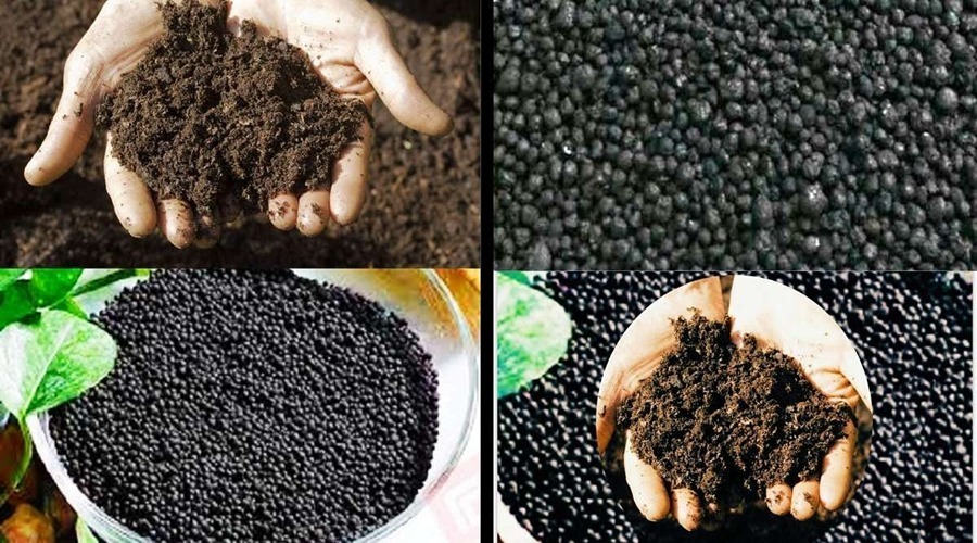  Unexpected benefits and correct use method in humic acid in horticulture crops