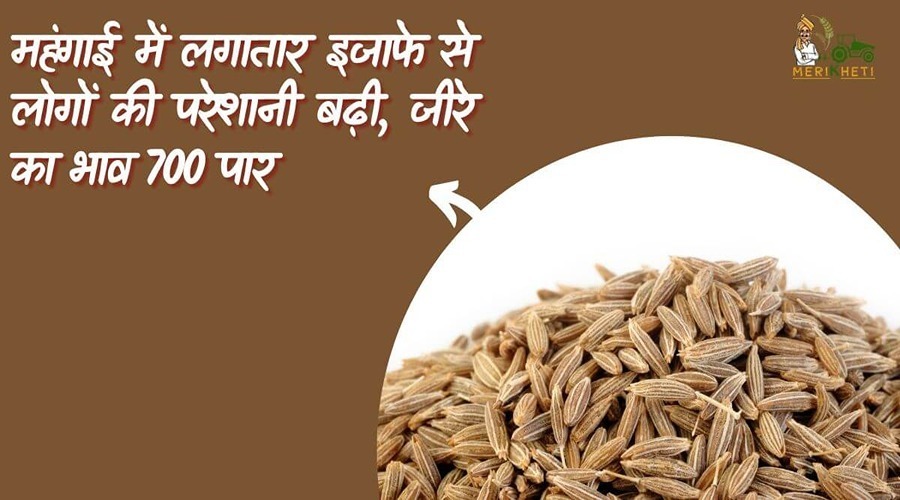 People's problems increased due to continuous increase in inflation, the price of cumin crossed Rs 700