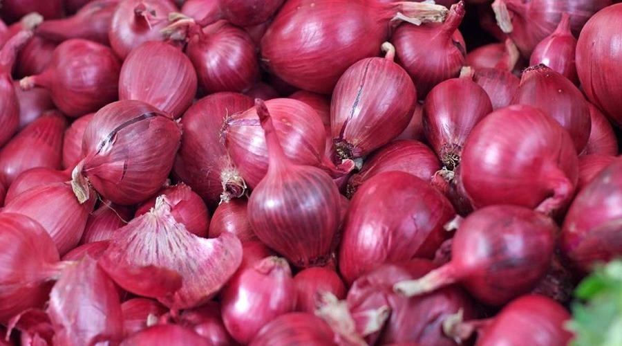  Central government took steps for onion producing farmers and customers