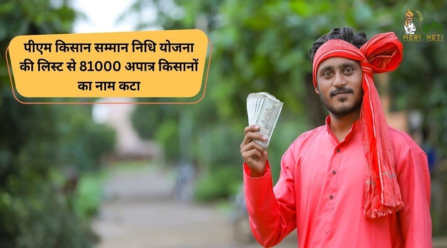 पीएम किसान सम्मान निधि योजना की लिस्ट से 81000 अपात्र किसानों का नाम कटा