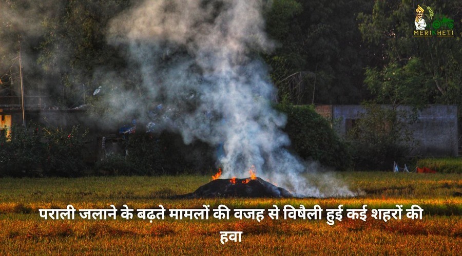  The air of many cities has become poisonous due to increasing cases of stubble burning.