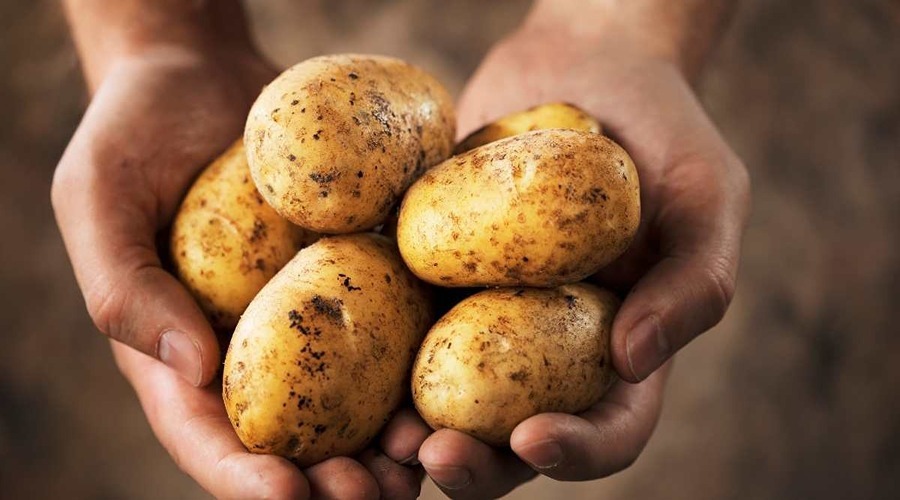 What is the easy way to grow potatoes at home that can be used with every vegetable?