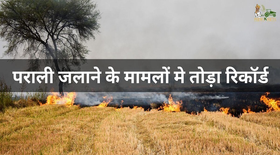 Cases of stubble burning in Punjab broke the last two years record