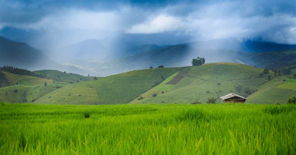 भारतीय मौसम विभाग ने अगस्त और सितंबर में बारिश को लेकर पूर्वानुमान जारी किया