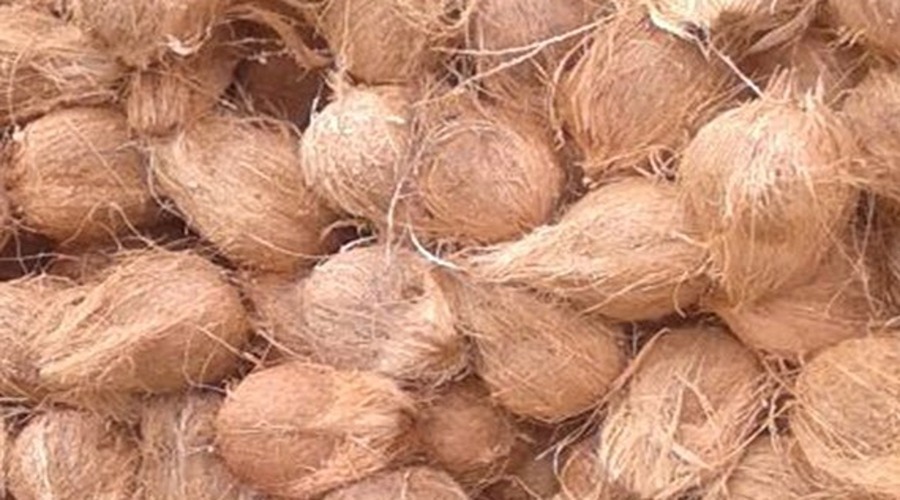  सरकार ने पके छिले नारियल का समर्थन मूल्‍य घोषित किया