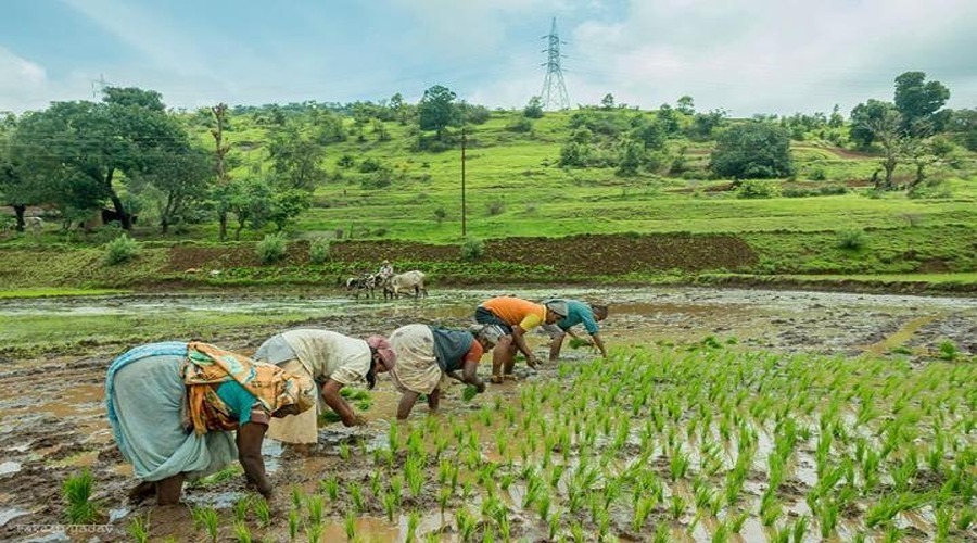 भारतीय अर्थव्यवस्था की धुरी:-कृषि