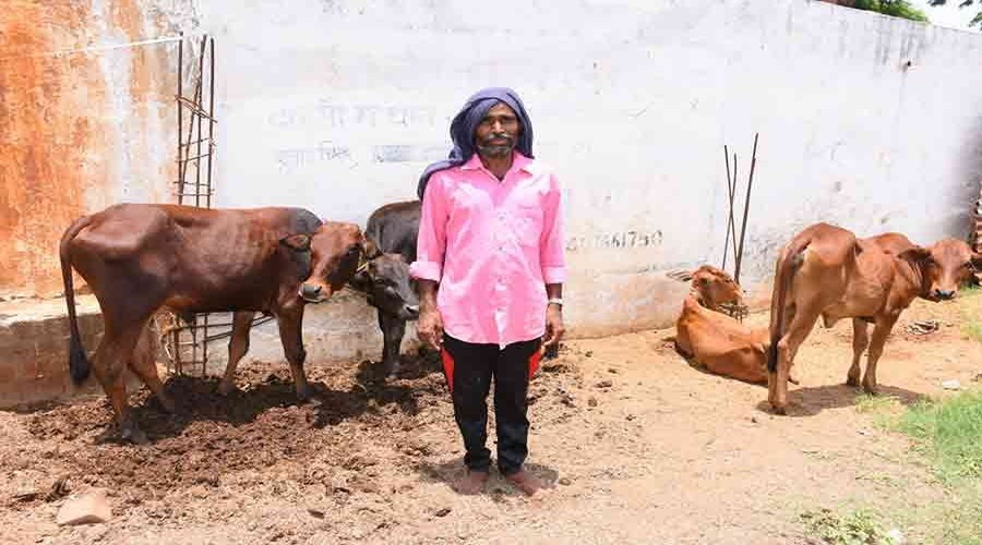 रायपुर:मजदूर से मालिक बना रामनाथ:प्रतिदिन 45 लीटर दूध विक्रय से हो रही अच्छी आमदनी