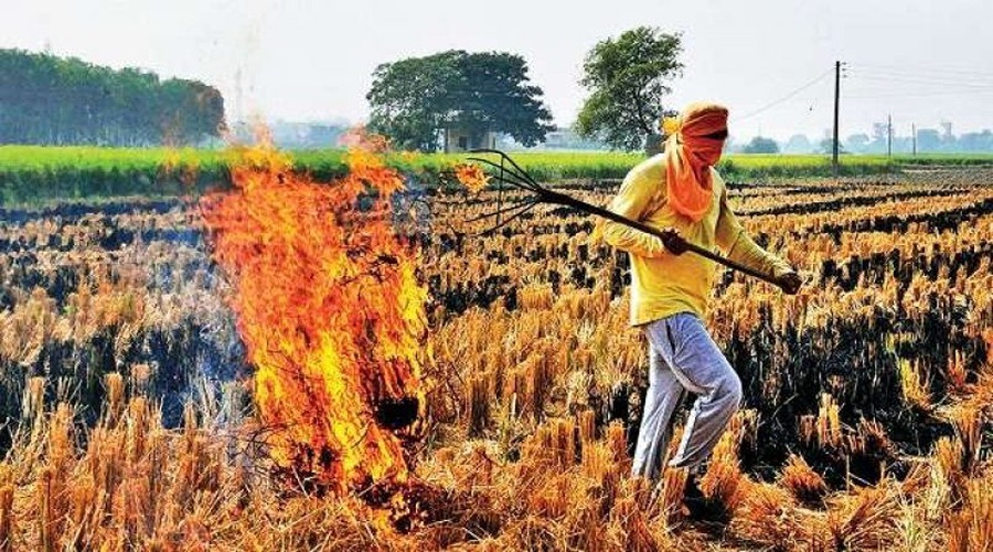 पराली जली तो प्रधान जाएंगे जेल