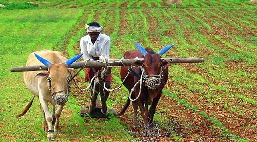 आधुनिक तकनीक अपनाकर घाटे से बचेंगे किसान