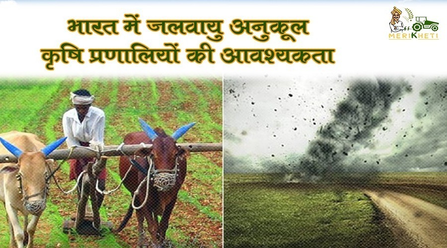भारत में जलवायु अनुकूल कृषि प्रणालियों की आवश्यकता