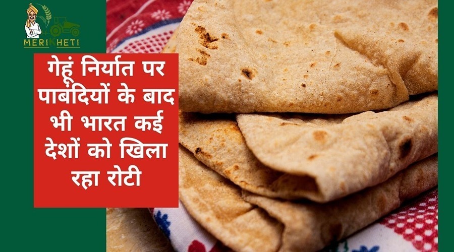 गेहूं निर्यात पर पाबंदियों के बाद भी भारत कई देशों को खिला रहा रोटी
