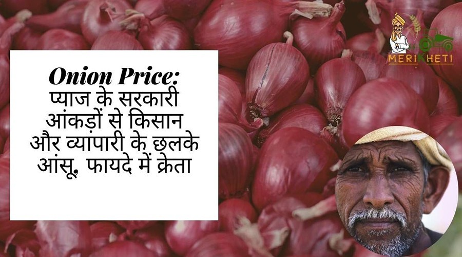 Onion Price: प्याज के सरकारी आंकड़ों से किसान और व्यापारी के छलके आंसू, फायदे में क्रेता