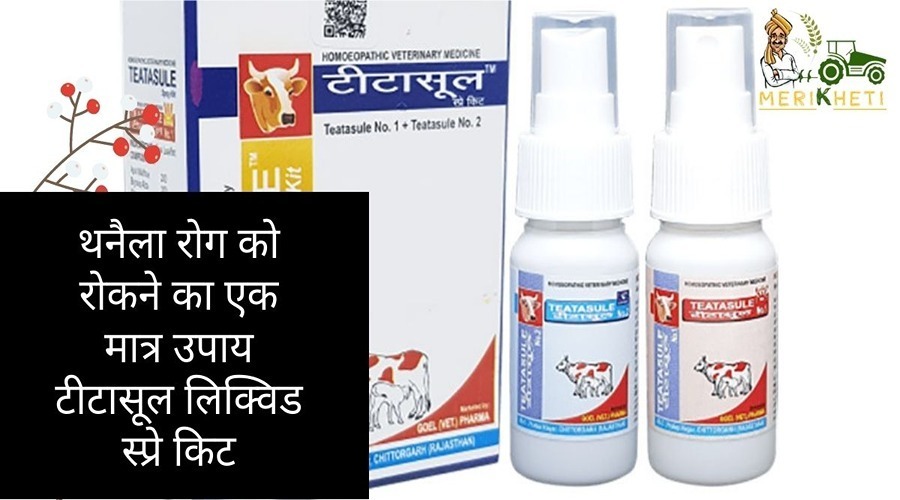 थनैला रोग को रोकने का एक मात्र उपाय टीटासूल लिक्विड स्प्रे किट (Teatasule Liquid (Spray Kit))