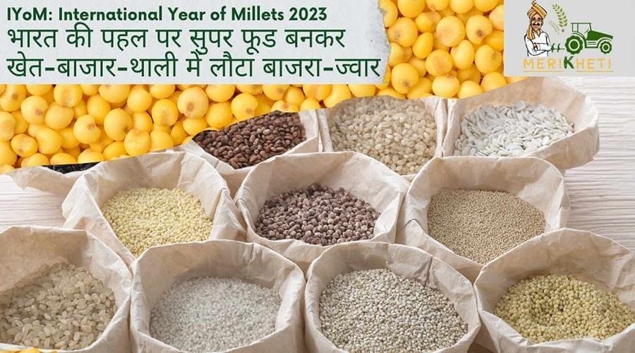IYoM: भारत की पहल पर सुपर फूड बनकर खेत-बाजार-थाली में लौटा बाजरा-ज्वार
