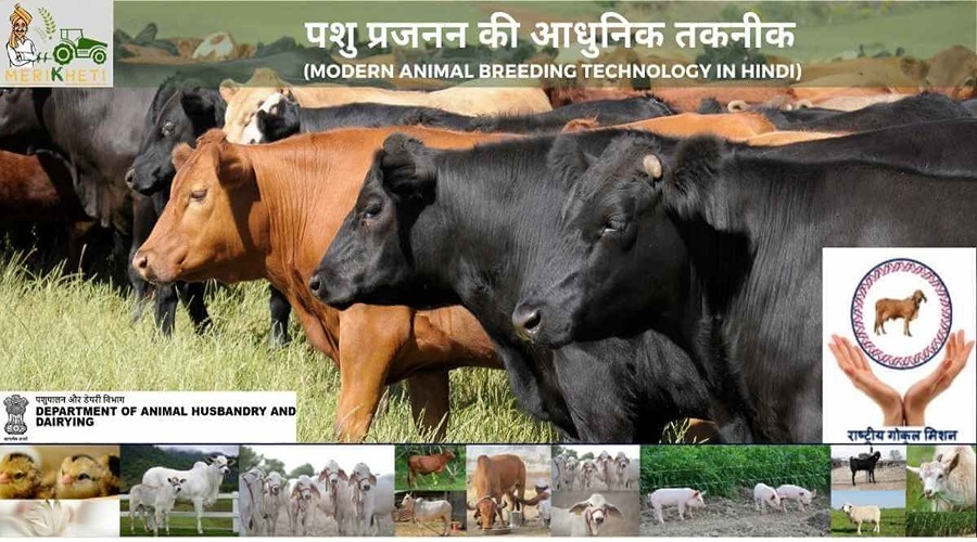 पशु प्रजनन की आधुनिक तकनीक (Modern Animal Breeding Technology in Hindi)