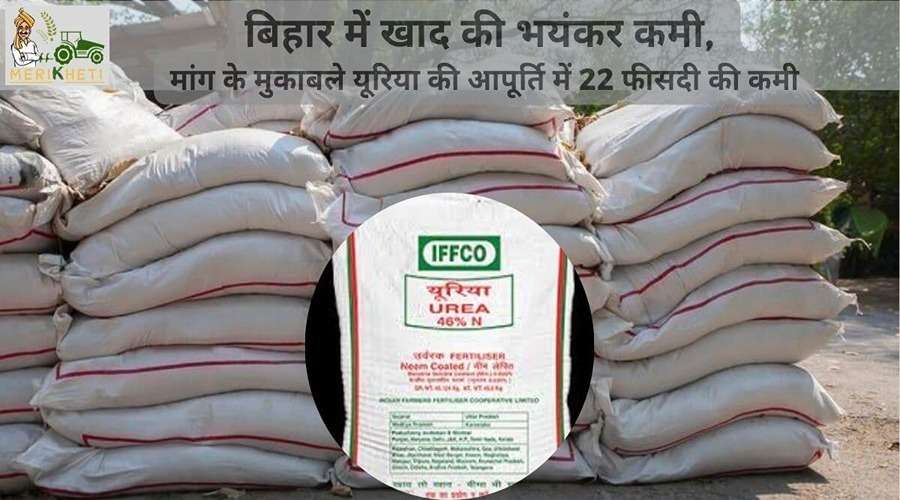 बिहार में खाद की भयंकर कमी, मांग के मुकाबले यूरिया की आपूर्ति में 22 फीसदी की कमी