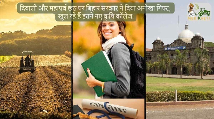 दिवाली और महापर्व छठ पर बिहार सरकार ने दिया अनोखा गिफ्ट, खुल रहे हैं इतने नए कृषि कॉलेज!
