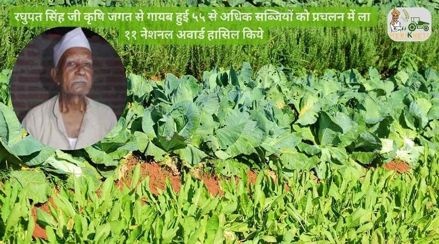 रघुपत सिंह जी कृषि जगत से गायब हुई ५५ से अधिक सब्जियों को प्रचलन में ला ११ नेशनल अवार्ड हासिल किये