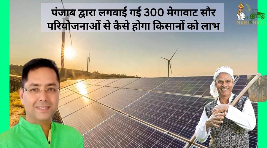 पंजाब द्वारा लगवाई गई 300 मेगावाट सौर परियोजनाओं से कैसे होगा किसानों को लाभ