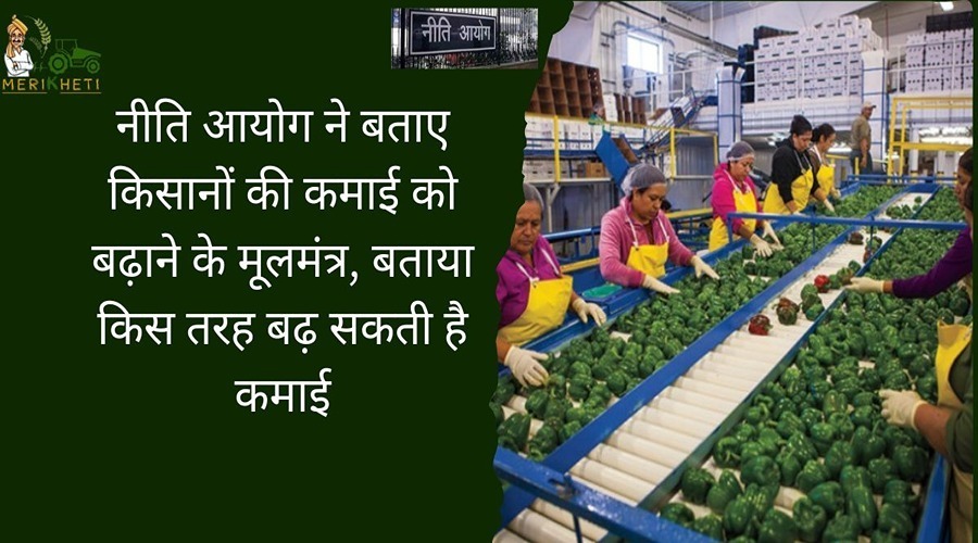 नीति आयोग ने बताए किसानों की कमाई को बढ़ाने के मूलमंत्र, बताया किस तरह बढ़ सकती है कमाई