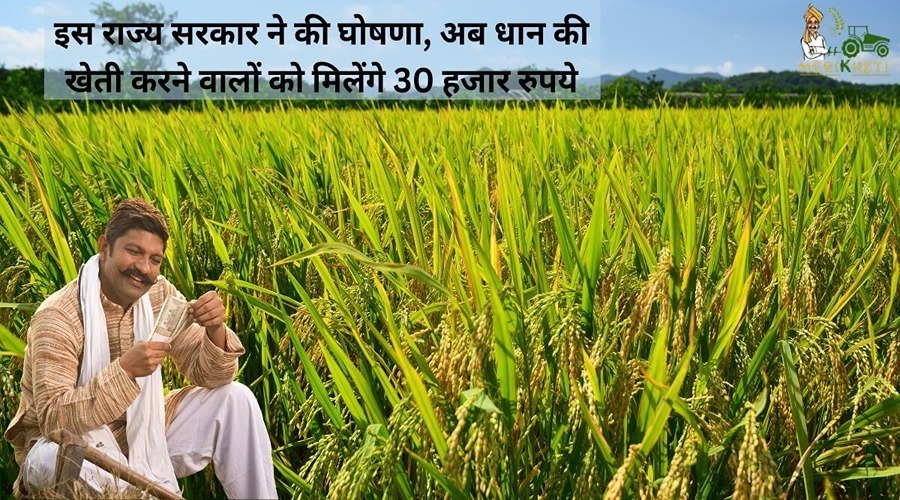 इस राज्य सरकार ने की घोषणा, अब धान की खेती करने वालों को मिलेंगे 30 हजार रुपये