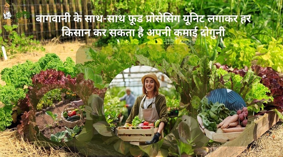 बागवानी के साथ-साथ फूड प्रोसेसिंग यूनिट लगाकर हर किसान कर सकता है अपनी कमाई दोगुनी