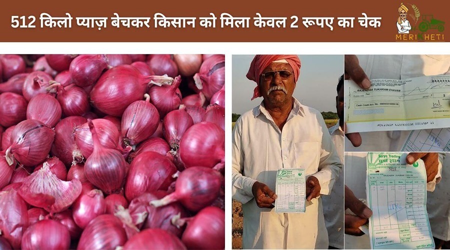 512 किलो प्याज बेचकर किसान को मिला केवल 2 रुपए का चेक